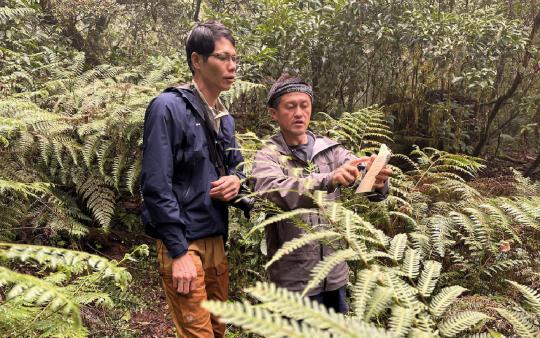 【豐年雜誌】解碼山林　疏伐後林下環境更豐富、精油量更高：臺東分署攜璞草園　開發針葉木系列精油