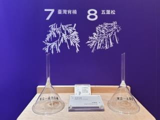 【實體活動】2025木質生活展：沉浸式展區氣味合作，森林調相伴逛展、品聞 7 種常見木頭精油