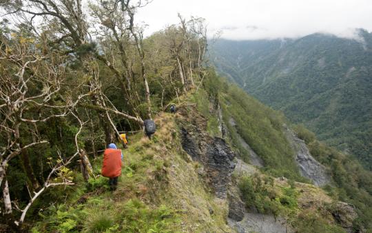 【LaVie】島嶼香氣裝瓶中！從原生植物嗅聞台灣風土——專訪肯園、璞草園